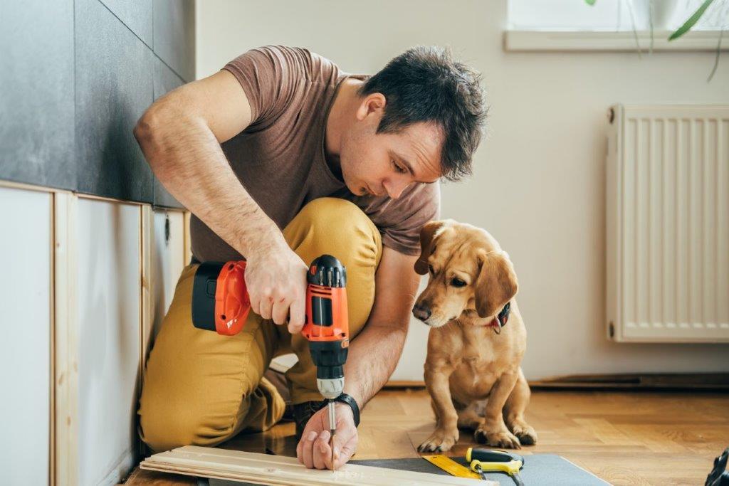 Dog next to man building shelves