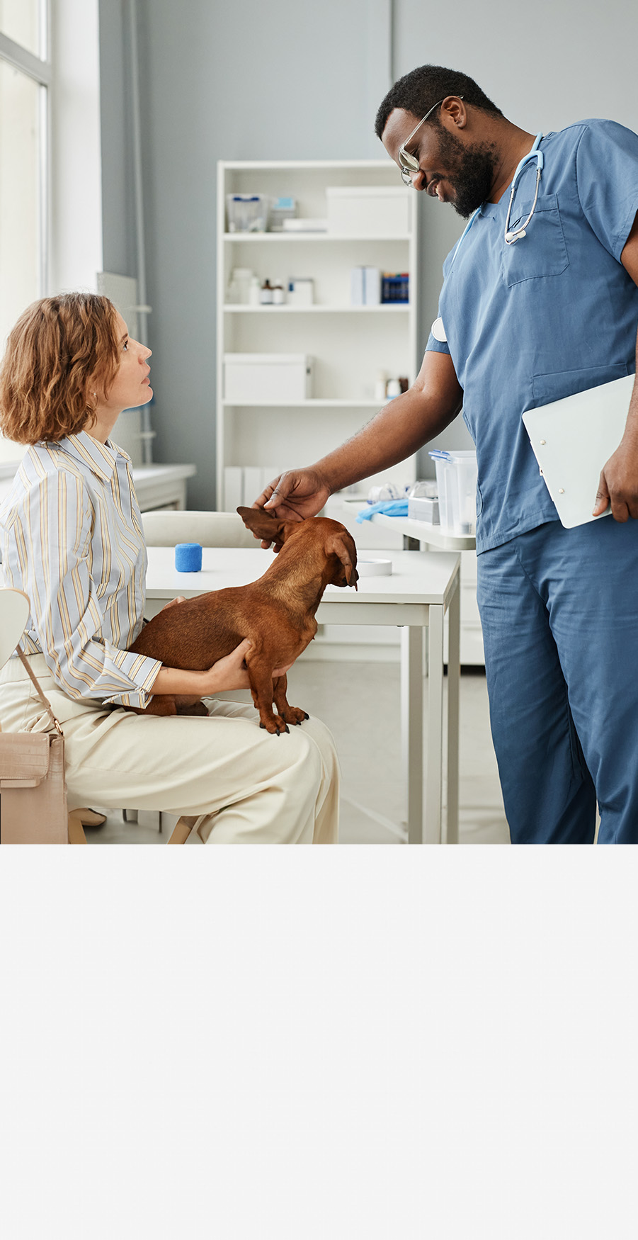 Vet is checking a young woman's dog